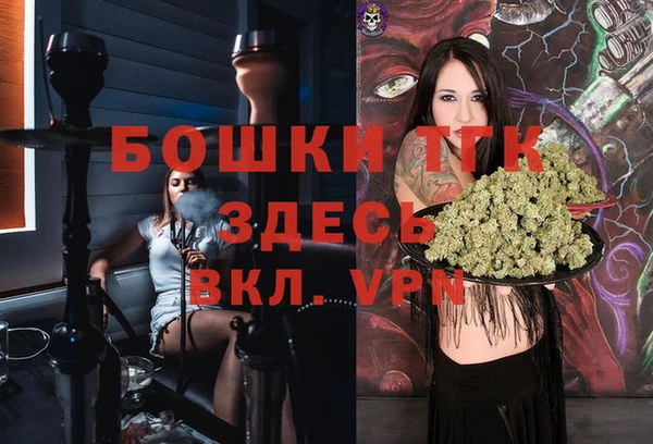 спайс Дмитриев