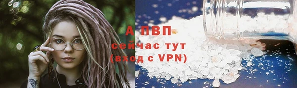 СК Дмитровск