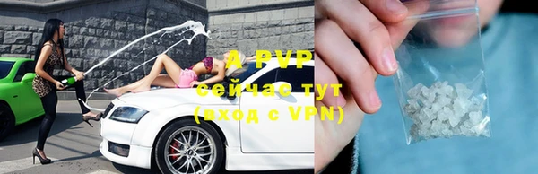 спайс Дмитриев