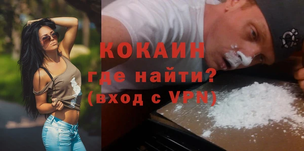 хмурый Дмитров