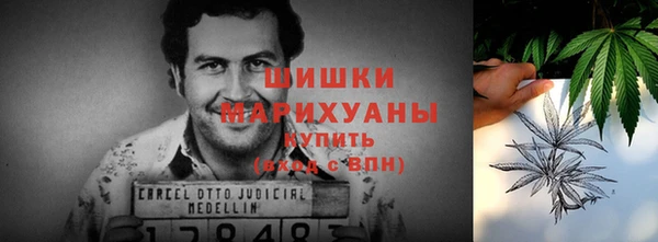 спайс Дмитриев