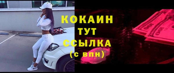 спайс Дмитриев