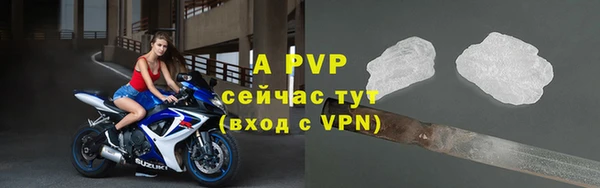 спайс Дмитриев