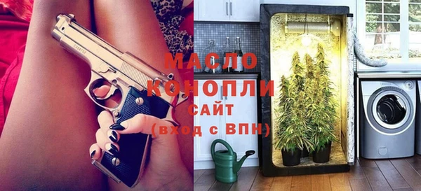 хмурый Дмитров
