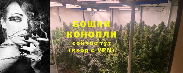 СК Дмитровск