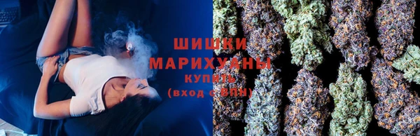 спайс Дмитриев