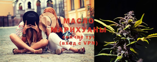 хмурый Дмитров