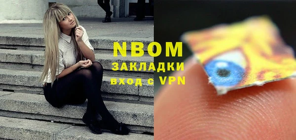 хмурый Дмитров