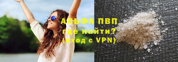 хмурый Дмитров