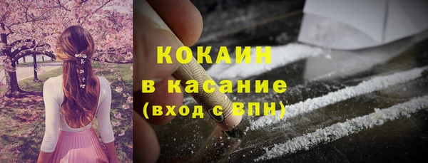 СК Дмитровск