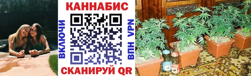 купить наркоту  Юрьев-Польский  Конопля Bruce Banner 